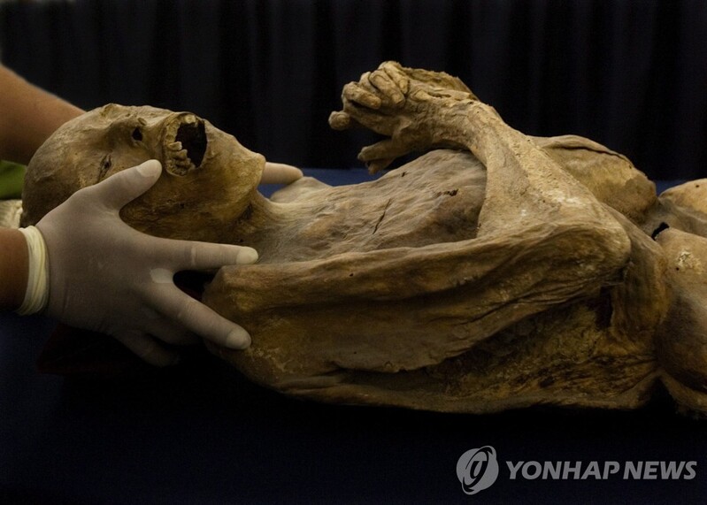 멕시코, 미라박물관 논쟁…"미라 상업화" vs "독특한 경험 제공"