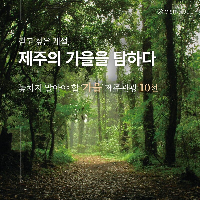 "제주의 가을을 탐하다"…놓치지 말아야 할 제주관광 10선