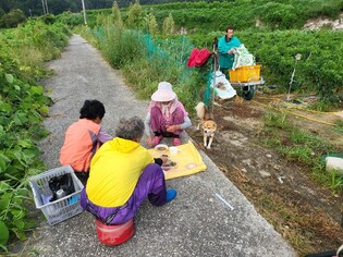 [K-Geography] Breakfast at chill field