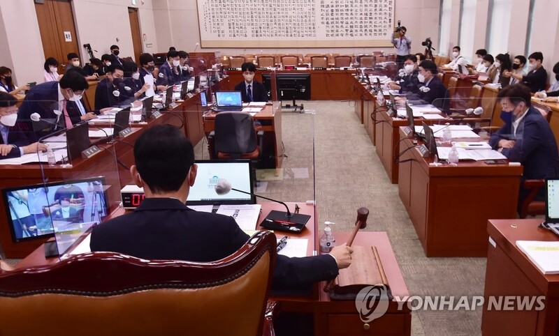 Parliamentary committee passes revision bill aimed at easing regulations on nationality renunciation
