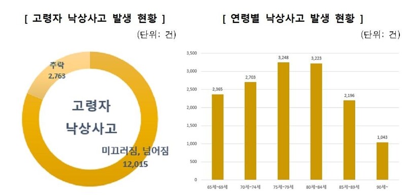 "고령자 안전사고 10건 중 6건은 낙상사고…주로 집에서 발생"