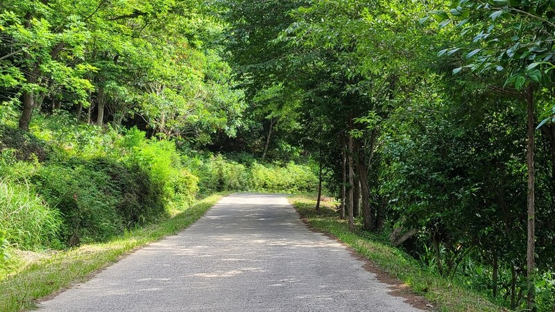 추석 연휴 때 3년 만에 임도 열린다…5∼18일 2주간 개방