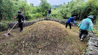 [K-Geography] Tidying up grave ahead of Chuseok