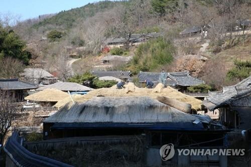 태풍 힌남노에 천년고도 경주도 곳곳에 피해