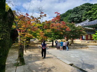 [K-Geography] Autumn deepening in mountain temple