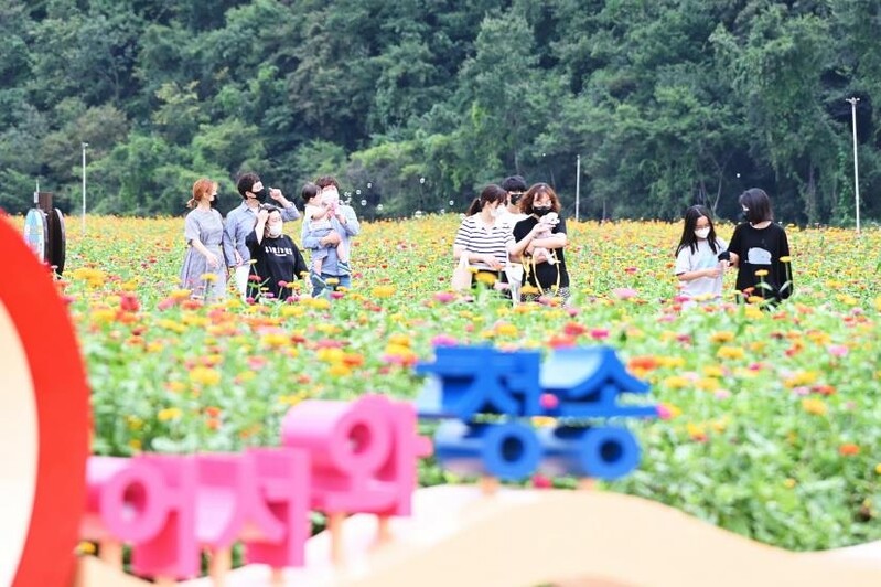 '슬로우시티' 경북 청송서 제1회 느림보 대회 열려