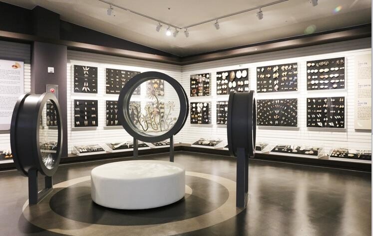 신안군, '국립해양수산박물관' 유치 총력…"최적지"