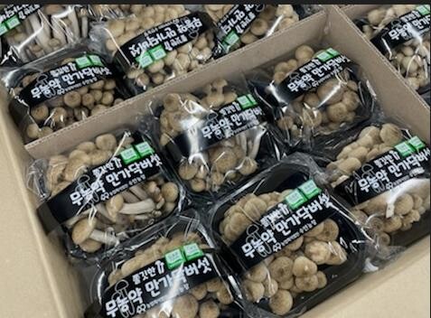 해남군, 만가닥버섯 8.8t 미국 수출