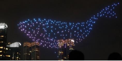 동해시 망상에서 전국 최초 펫티켓 '드론 라이트쇼'