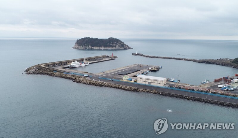 제주 해양레저관광 지구에서 천연기념물 연산호 발견