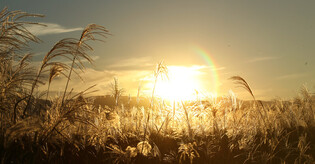 [K-Geography] Autumn Sunset