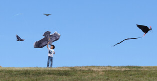 [K-Geography] Flying kites