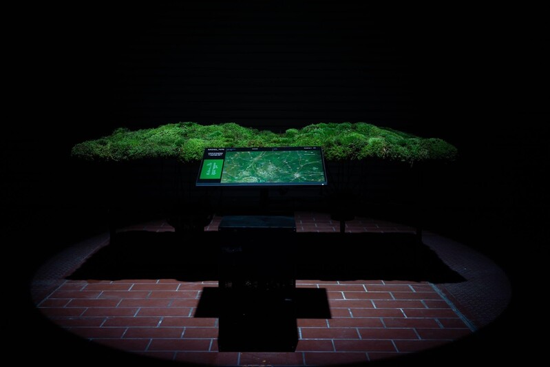 '기후변화 바로미터' 이끼가 부르는 노래…'MOSS-이끼' 전시