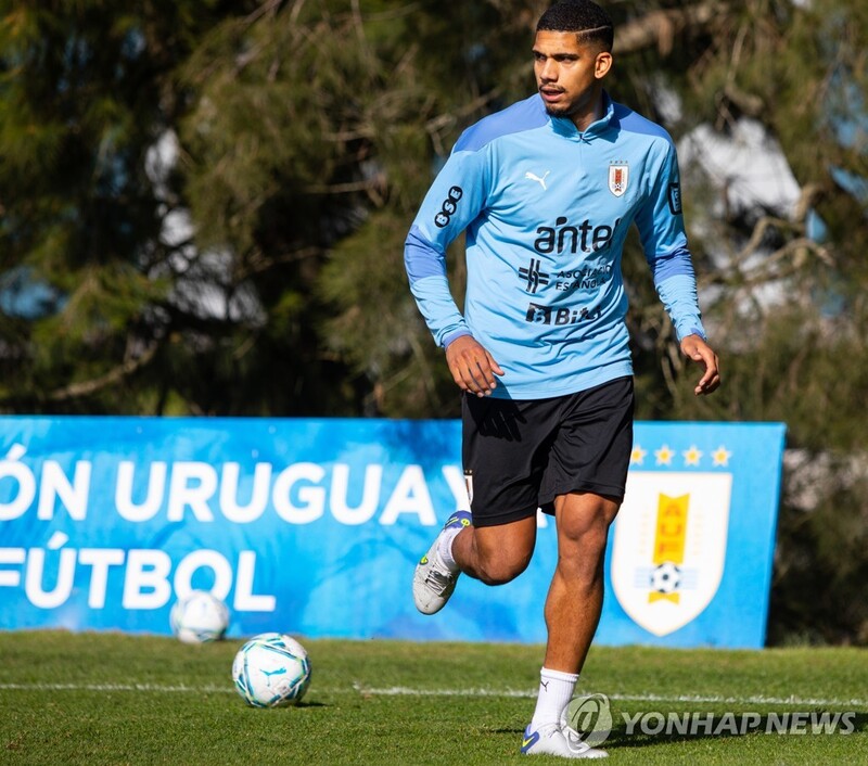 벤투호 상대할 우루과이 주축 수비수 아라우호, 결국 수술대로