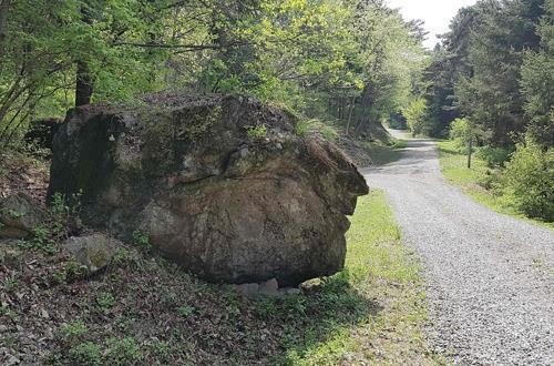 광릉숲 비공개지역 4년 만에 개방…내달 8∼9일 축제