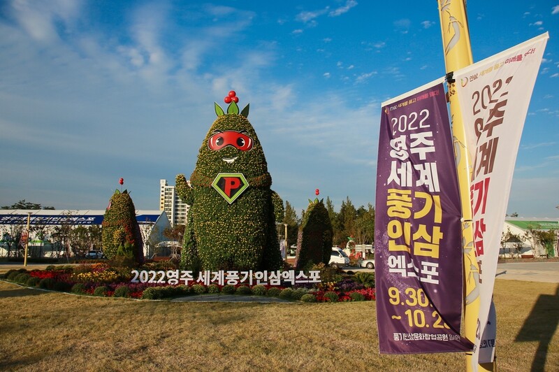 영주 풍기인삼엑스포 '팡파르'…24일간 대장정