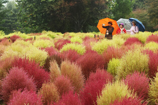 [K-Geography] Red autumn