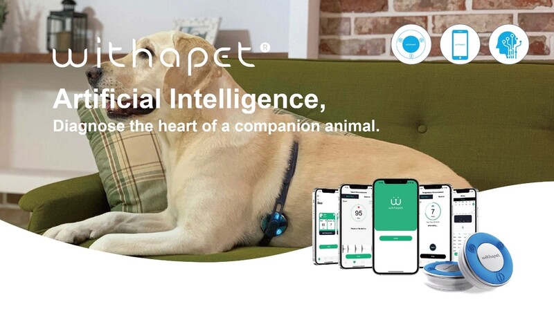 스마트사운드, 반려동물용 AI 청진기 미국 출시