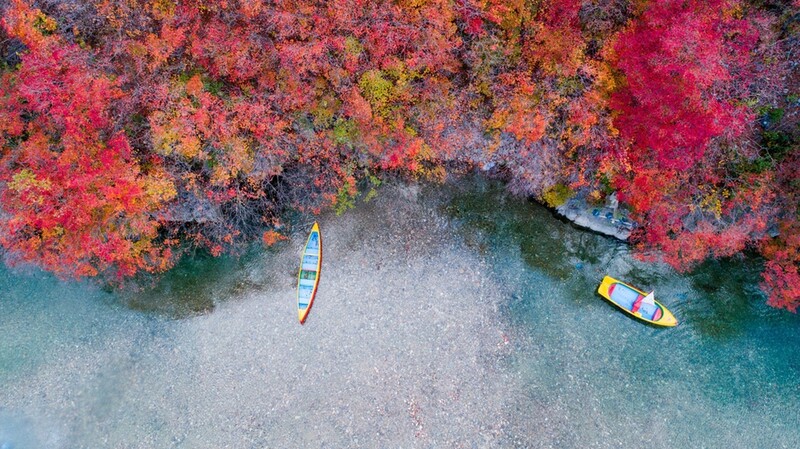 열차 타고 해발 900ｍ 고원 태백의 진한 가을 속으로