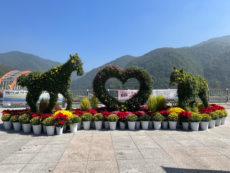 [픽! 단양] 꽃향기 가득한 '상상의 거리'