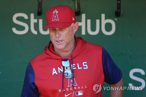 MLB 에인절스, 네빈 감독 대행과 정식 감독 1년 계약