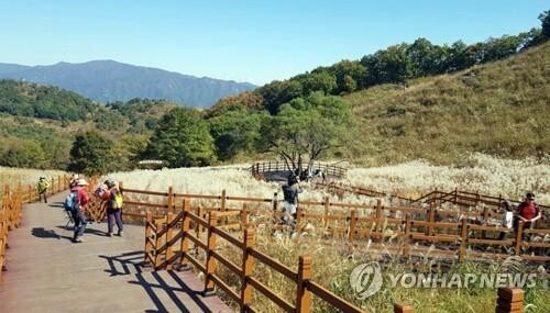 포천시, 9∼31일 '산정호수 명성산 억새꽃 축제'