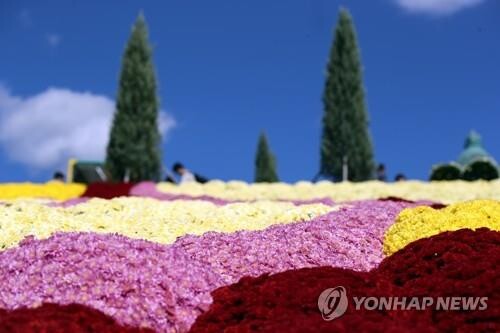 '무르익는 가을'…연휴 첫날 축제장·산·바다·관광지 들썩