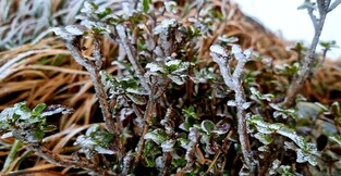 [K-Geography] First ‘Hoarfrost’ of this fall  in Deogyusan