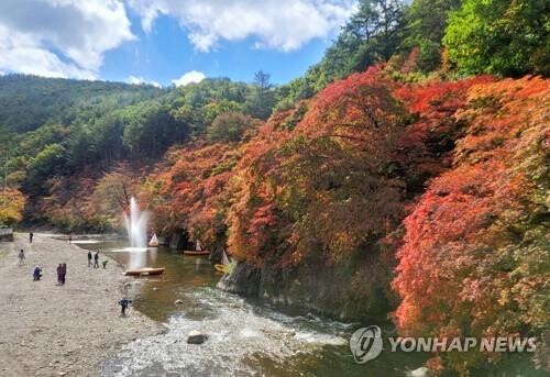 "완연한 가을" 전국 축제장·관광명소 인파…설악산엔 '첫눈'