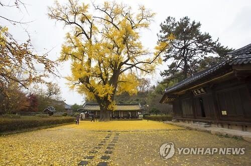 전주시, 산재한 문화유산 묶는 '왕의 궁전' 프로젝트 추진