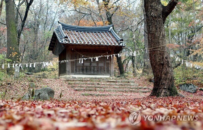 '신들의 숲이 열린다' 원주시 신림 천연기념물 '성황림' 개방