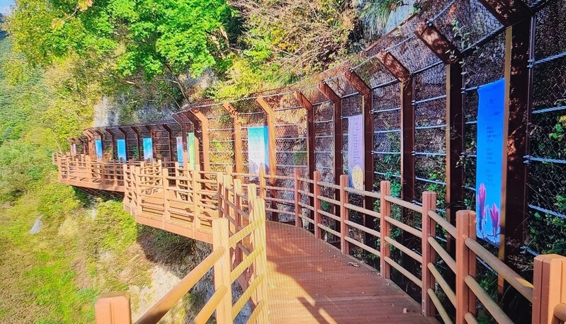 깊어가는 가을 '시화길'로 탈바꿈한 '평창평화길'