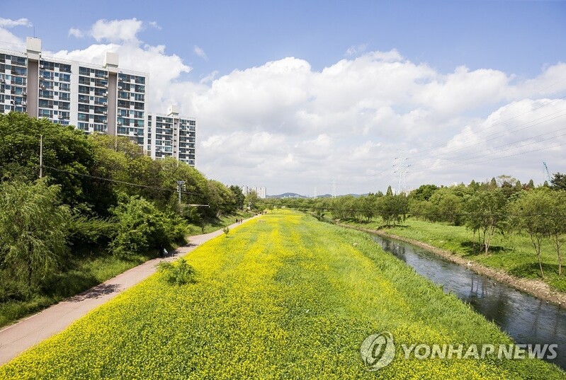 인천시 "승기천 물길 복원해 도심 상습침수 해소"