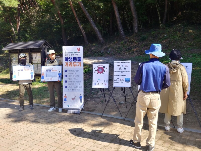 지리산국립공원, 단풍철 맞아 '야생동물 거리두기' 캠페인