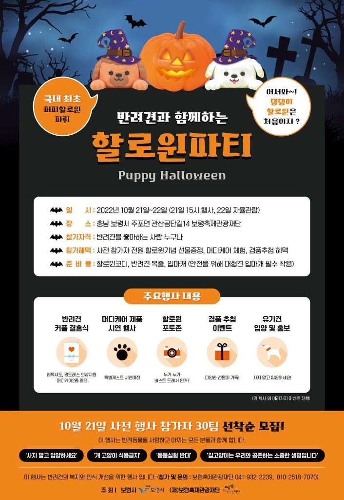 보령서 21∼22일 '반려견 핼러윈 파티'