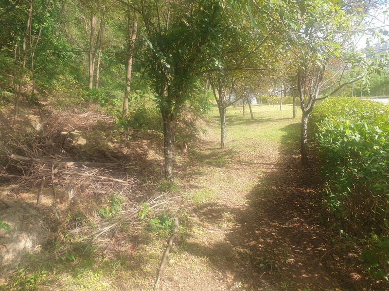 청주 율봉근린공원에 '애견인 쉼터' 조성