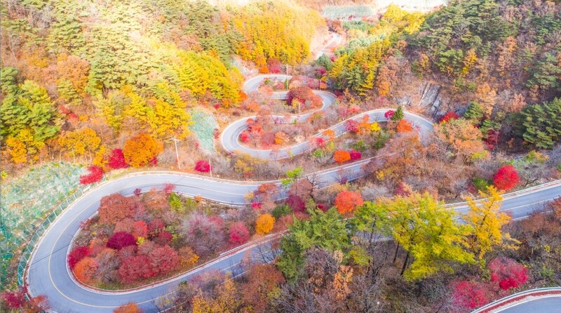 [픽! 단양] 만산홍엽 보발재…남한강변은 은빛 물결