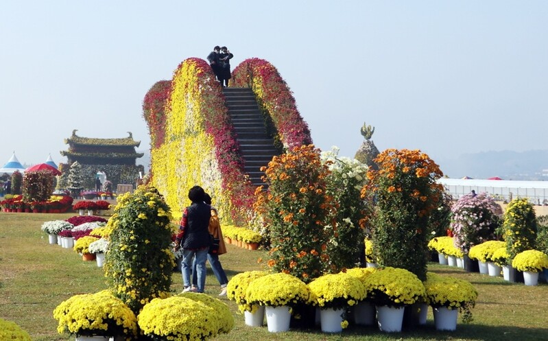 '한성에서 사비까지' 부여 구드래서 28일부터 17일간 국화축제