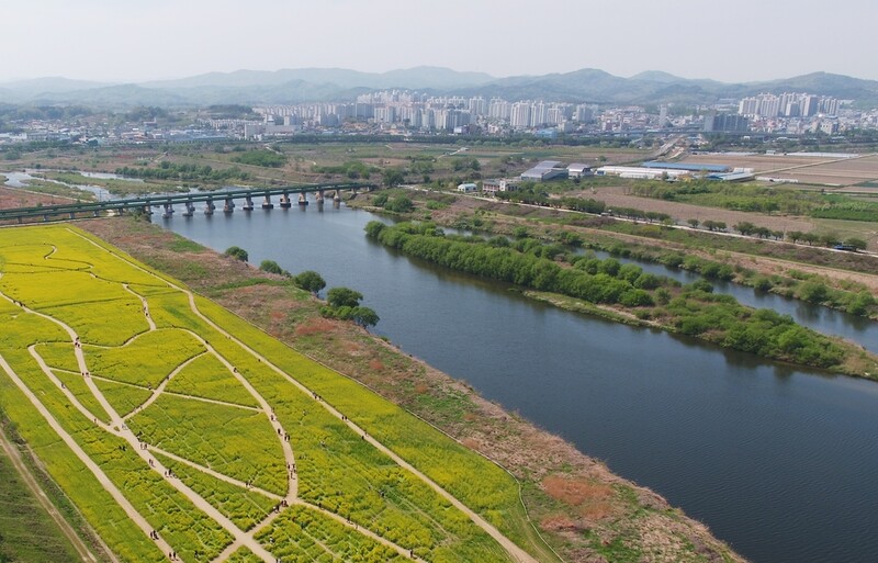 "일제 잔재 미호강을 동진강으로" 세종·청주 명칭 복원 추진