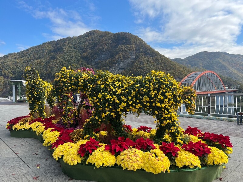 [픽! 단양] 호반관광지 단양, 눈길 주는 곳마다 꽃대궐