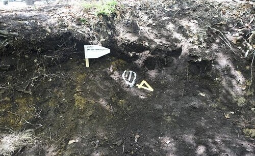 S. Korea identifies remains of another Korean War soldier