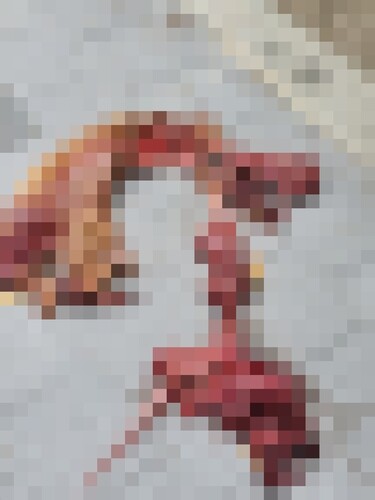 부산 도심서 가죽 벗겨진 채 토막 난 고양이 사체 발견(종합)