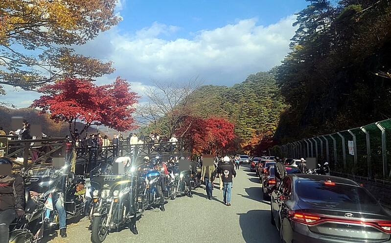 단풍명소 보발재 북새통…단양군 "안전조치 강화"