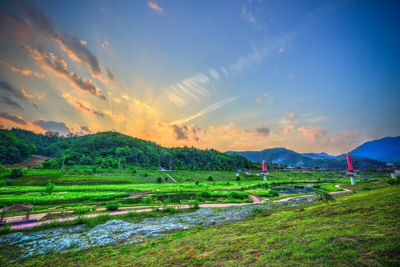 영월군, 축구장 95개 넓이 동·서강 정원 청령포원 본격 조성