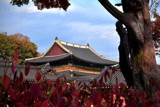 [K-Geography] Photos of Secret Garden of Changdeokgung Palace