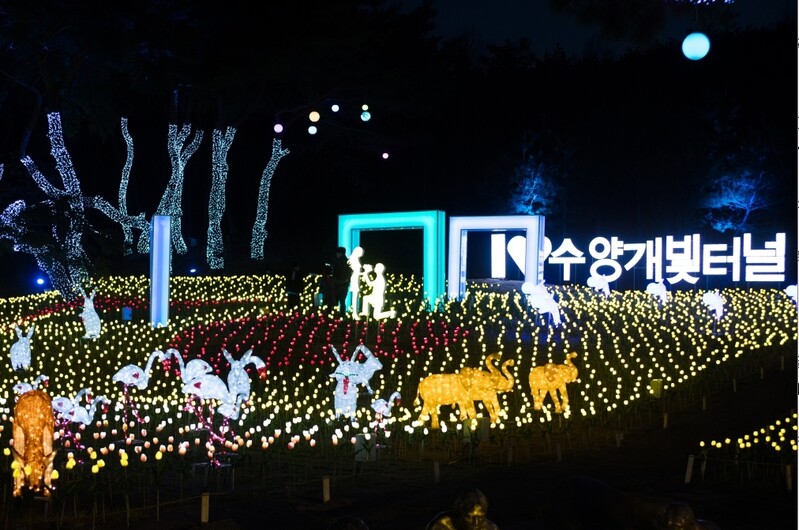 [픽! 단양] 연인들의 데이트 명소…수양개 빛 터널