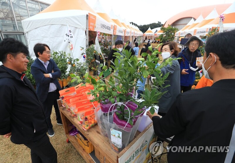 제주국제감귤박람회 개막, 14일까지 전시·체험 '풍성'