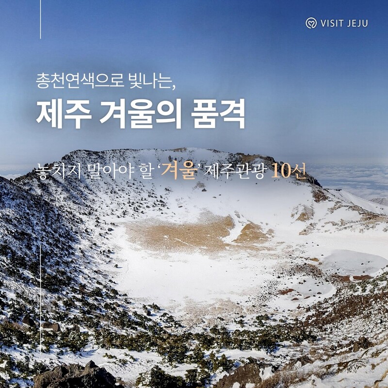 "제주 겨울은 총천연색으로 빛난다"…제주 겨울관광 10선