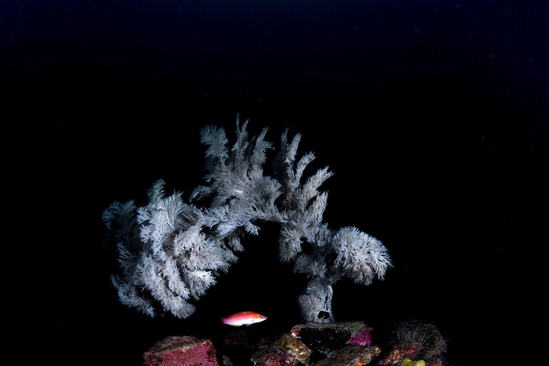 딸이 그린 세상·아빠가 담은 바다…김호웅 사진전 22일 개막