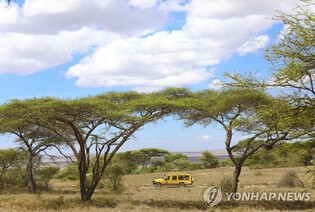 Mt.Kilimanjaro to Serengeti... Relationship between Cho Yong-pil and Tanzania